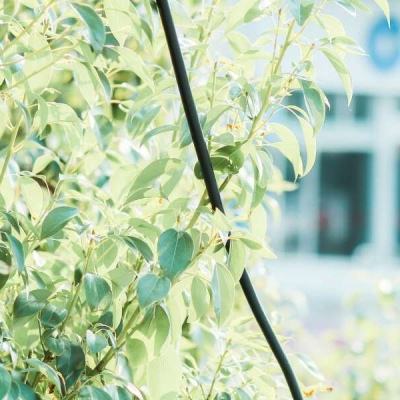 bat365(在线)官方网站